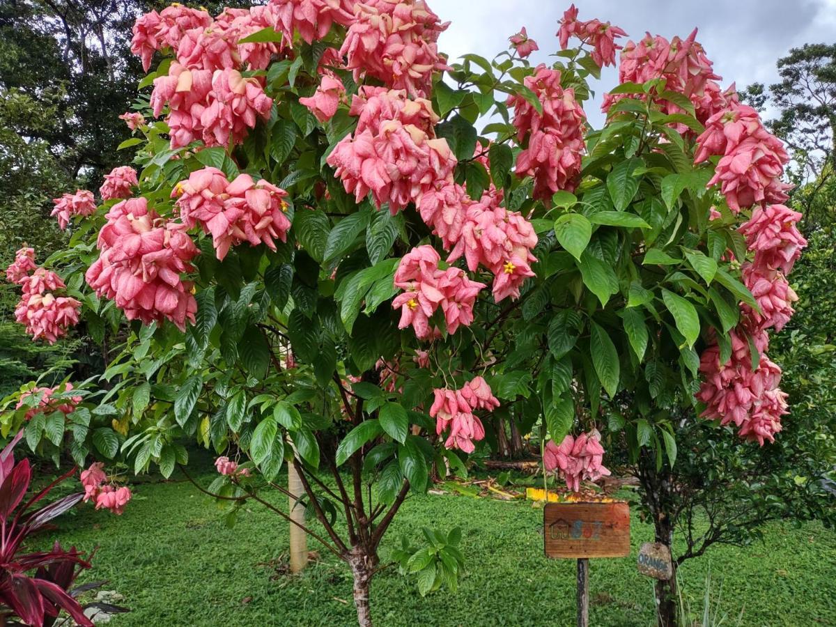Finca Mystica Merida Екстер'єр фото