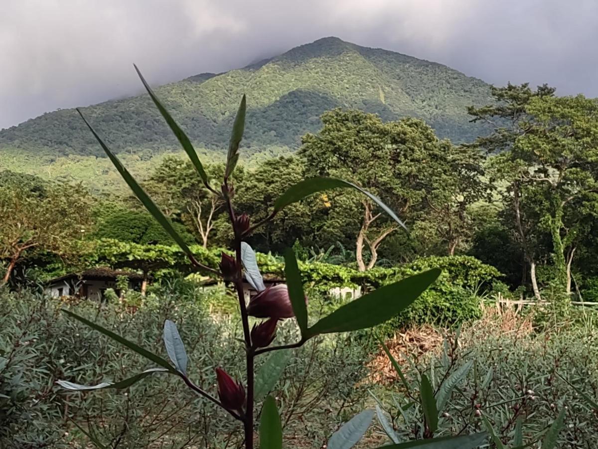 Finca Mystica Merida Екстер'єр фото