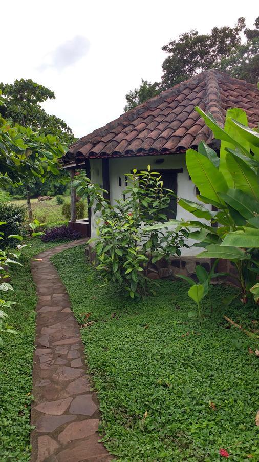 Finca Mystica Merida Екстер'єр фото