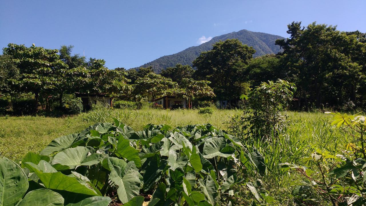 Finca Mystica Merida Екстер'єр фото