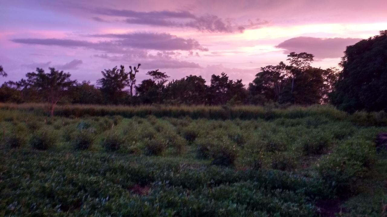 Finca Mystica Merida Екстер'єр фото